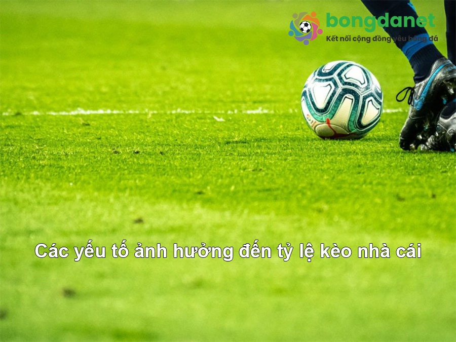 Khám Phá 84Win Bí Quyết Thành Công Trong Cá Cược
